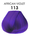 Adore - 113 African Violet